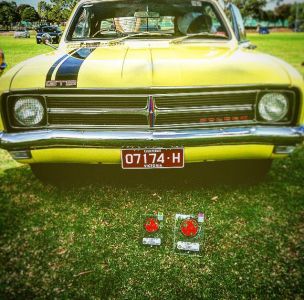 Dandy166